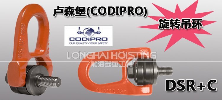 DSR+C盧森堡吊環(huán) DSR+C盧森堡吊環(huán)